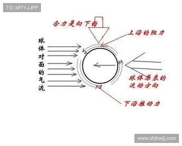 深圳乒乓球队的整体压制揭秘与深度分析乒乓球运动的未来发展潜力