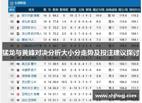 猛龙与黄蜂对决分析大小分走势及投注建议探讨
