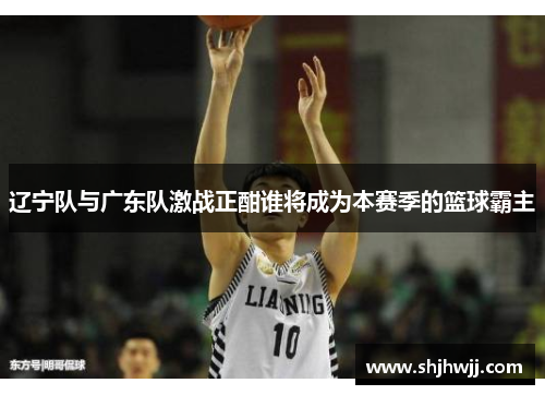 辽宁队与广东队激战正酣谁将成为本赛季的篮球霸主