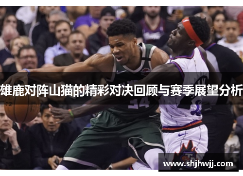 雄鹿对阵山猫的精彩对决回顾与赛季展望分析